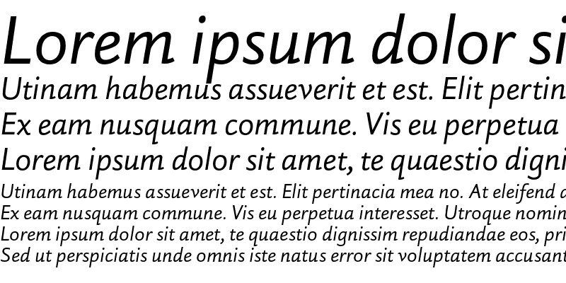 Sample of DTL Haarlemmer SD Sans Italic
