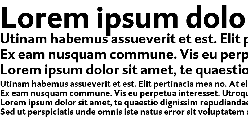 Sample of DTLCaspariST Bold