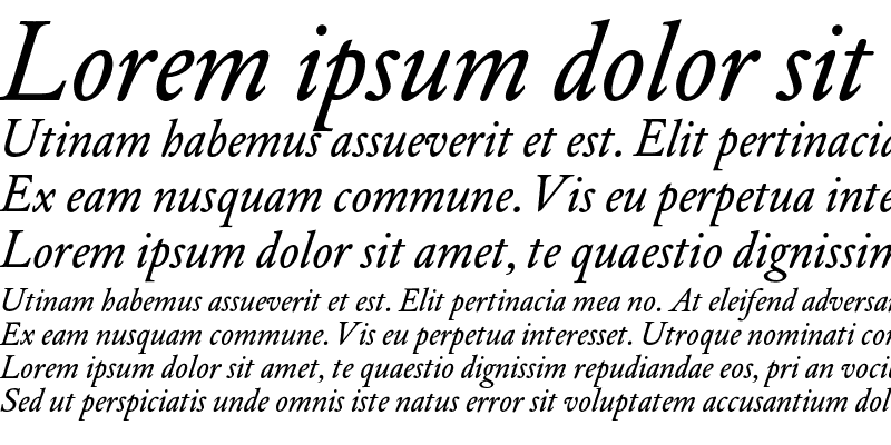 Sample of DTLElzevirSTBook Italic