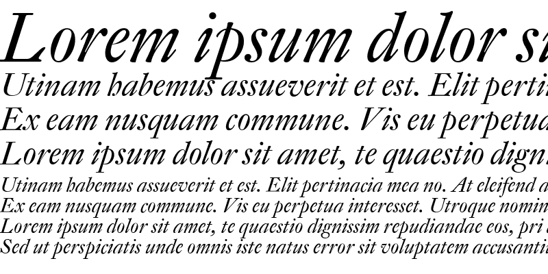 Sample of DTLFleischmannD Italic