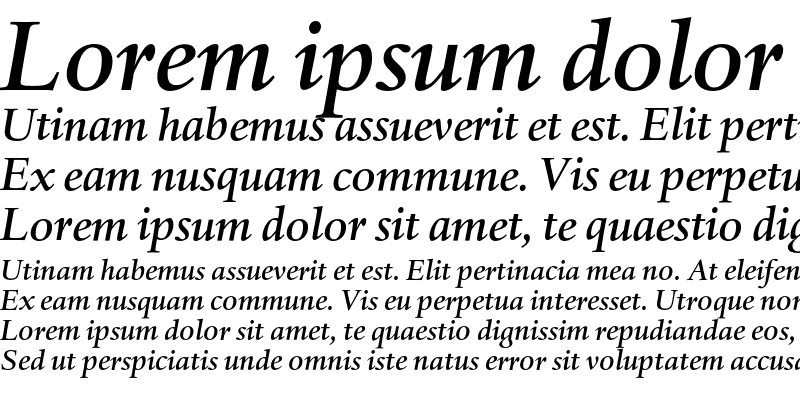 Sample of DTLHaarlemmerD Medium Italic