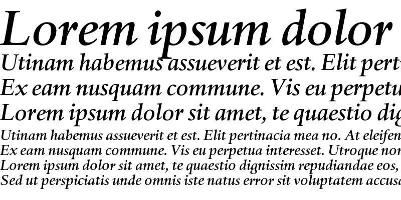 Sample of DTLHaarlemmerSD Medium Italic