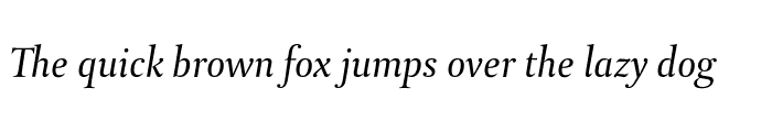 Preview of DTLParadoxT Italic