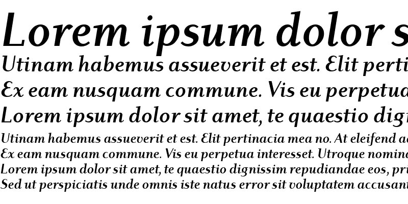 Sample of Dyadis ITC Book Bold Italic