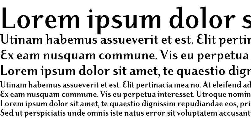 Sample of Dyadis ITC Std Bold