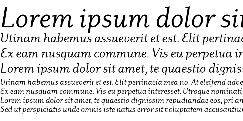 Sample of Dyadis ITC Std Book Italic