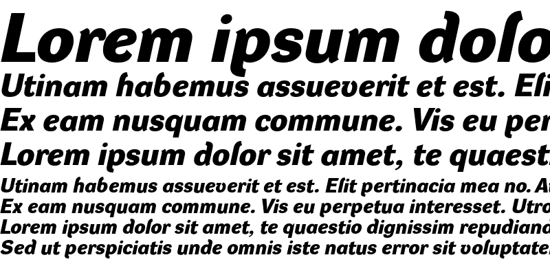 Sample of DynaGrotesk DE Bold Italic