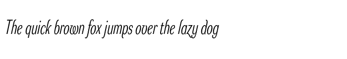 Preview of DynaGrotesk LXC Italic
