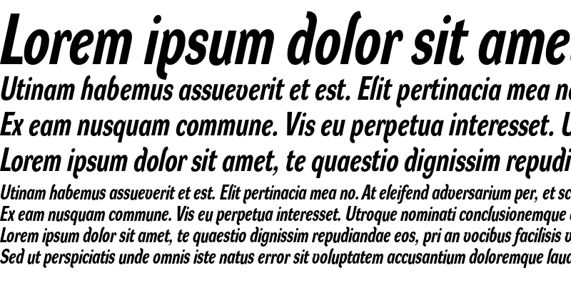 Sample of DynaGrotesk RC Bold Italic