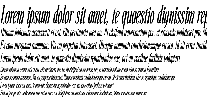 Sample of Echelon Condensed Italic