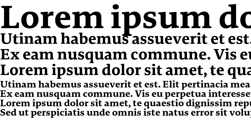 Sample of Edit Serif Arabic Bold