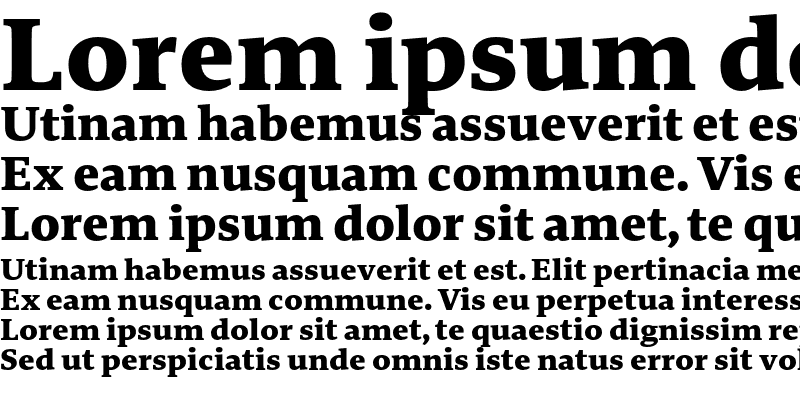 Sample of Edit Serif Arabic ExtraBold