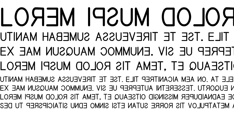 Sample of EFITYPE REVERSE