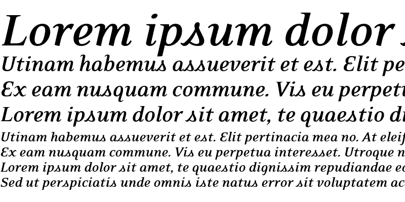 Sample of EideticNeo Bold Italic