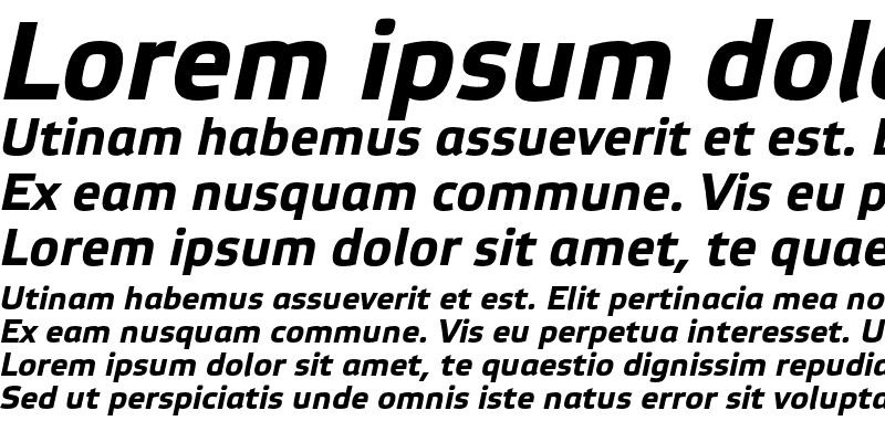 Sample of Elektra Text Pro Bold Italic