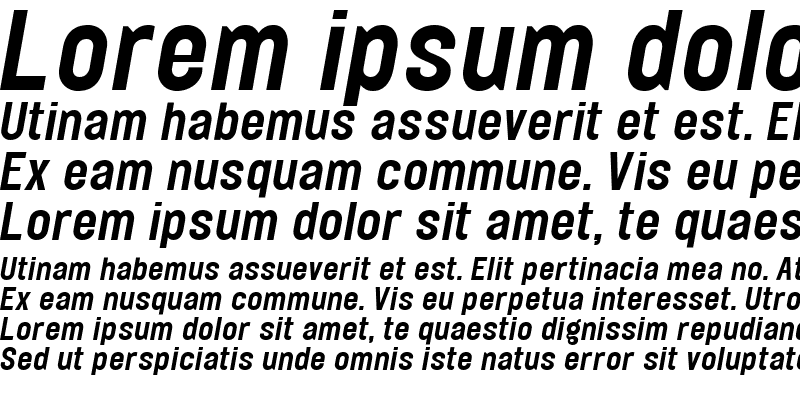 Sample of Elephant Medium Italic