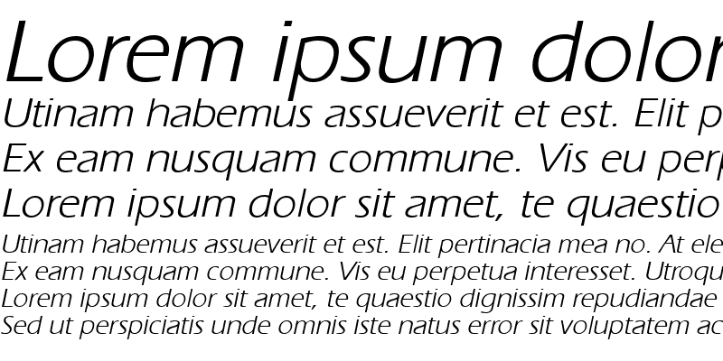 Sample of Ergoe Italic