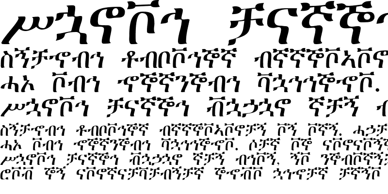 Sample of EthiopicTimesSSK Regular
