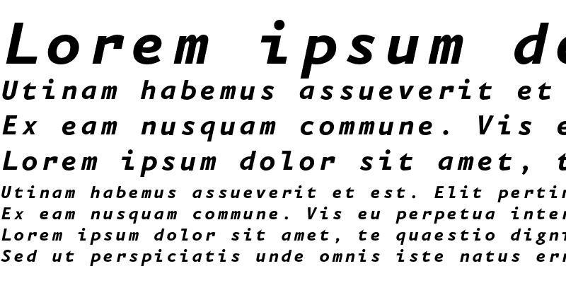 Sample of Eureka Mono Bold Italic