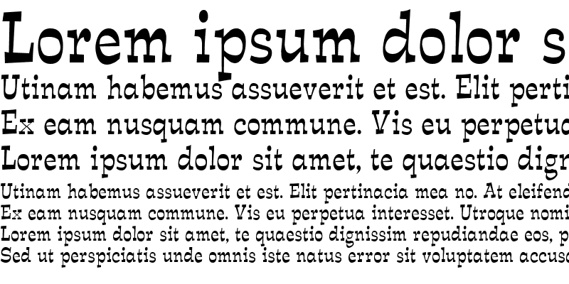 Sample of Expose Thin Condensed Normal