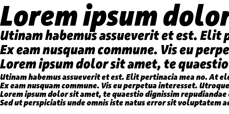 Sample of Facit Extrabold Italic