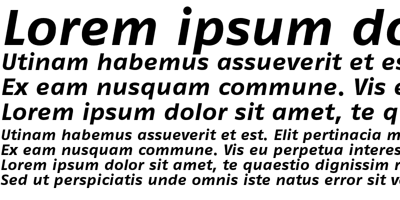 Sample of FagoEx Bold Italic