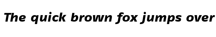 Preview of FagoExTf ExtraBold Italic