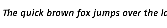 Preview of FagoNoTf Medium Italic