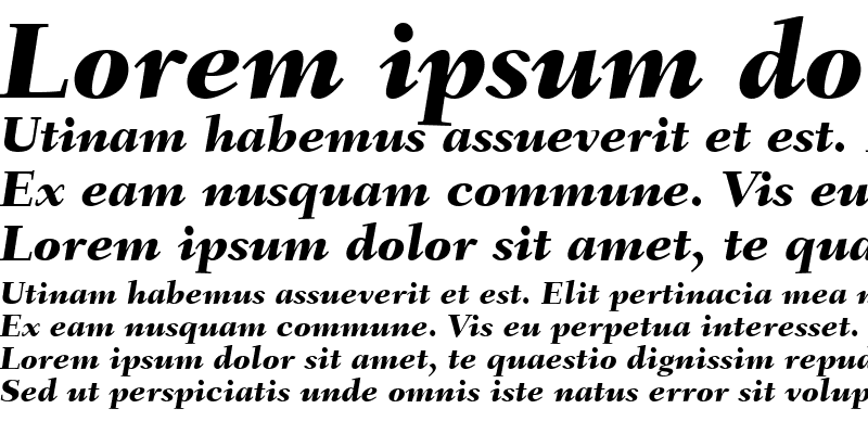 Sample of Fairfield LT Heavy Italic