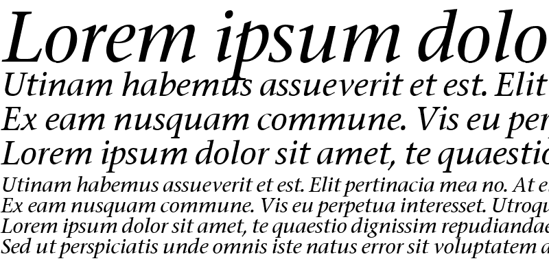 Sample of Fasse Italic