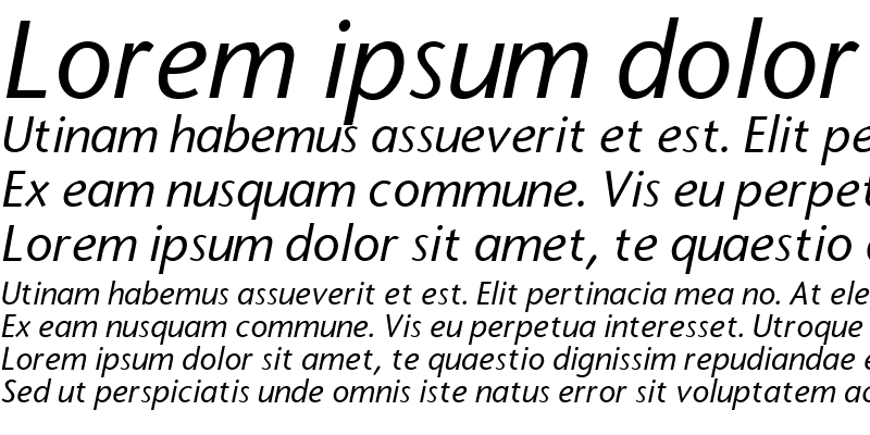 Sample of FasseSans Italic