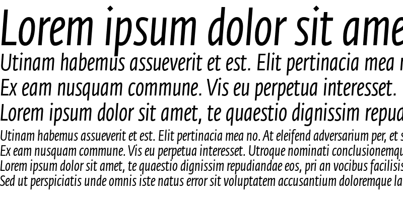 Sample of Fedra Sans Condensed Std Book Italic