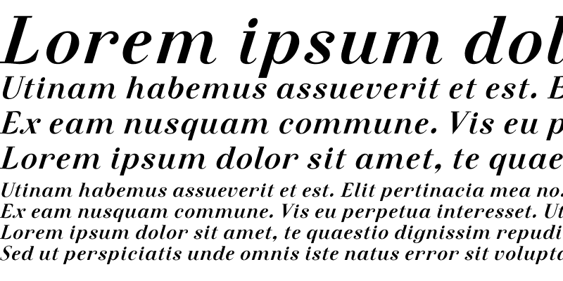 Sample of Felina SerifExtra Bold Italic