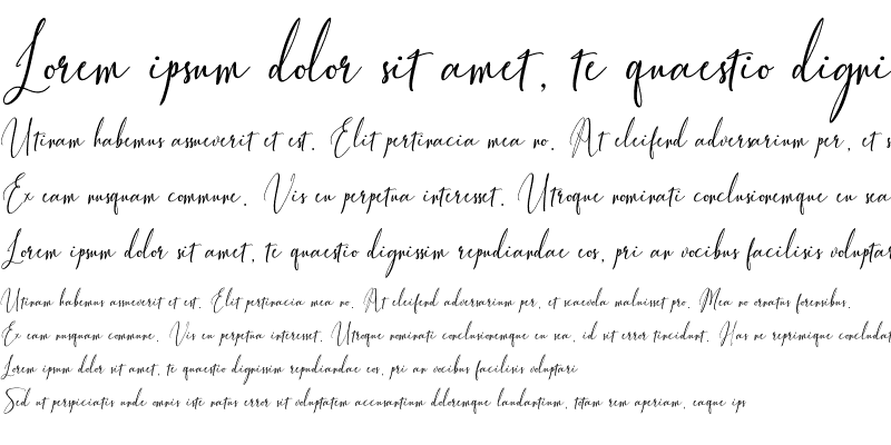 Sample of Fiolenita Script