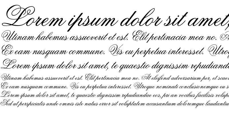 Sample of Flemish Script Regular