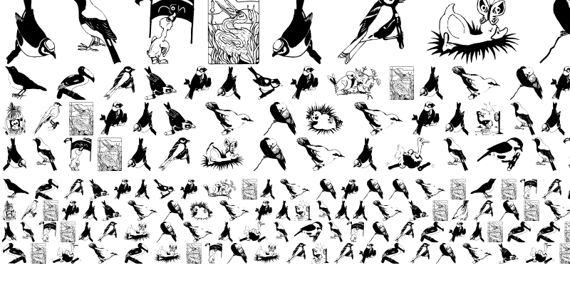 Sample of FlyBirdFly