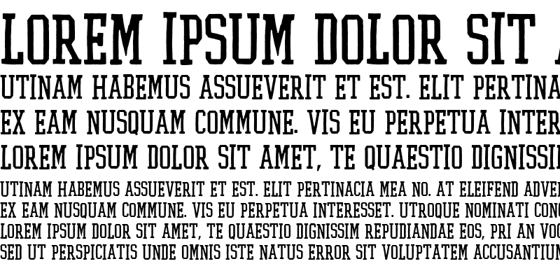 Sample of Flyerfonts Straight Regular