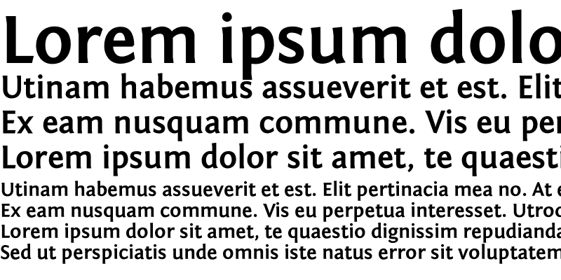 Sample of Fontin Sans Bold