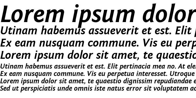 Sample of Fontin Sans CR Bold Italic