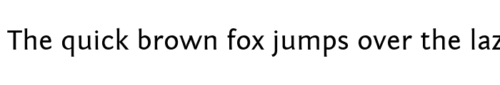 Preview of Fontin Sans CR Regular