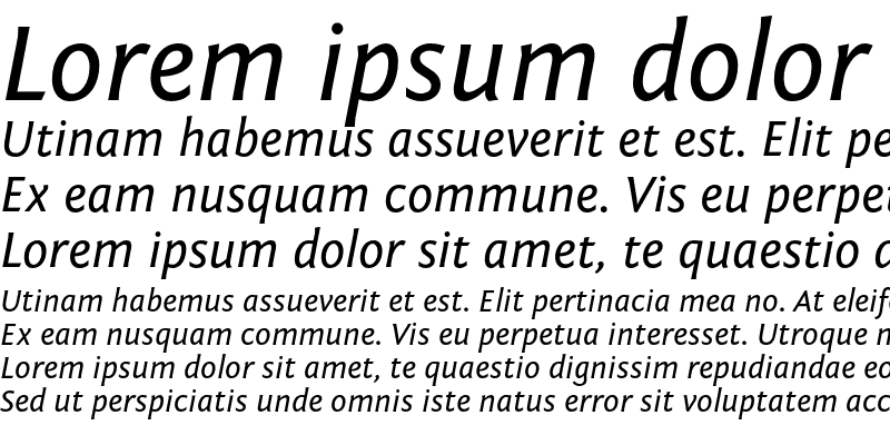Sample of Fontin Sans Italic