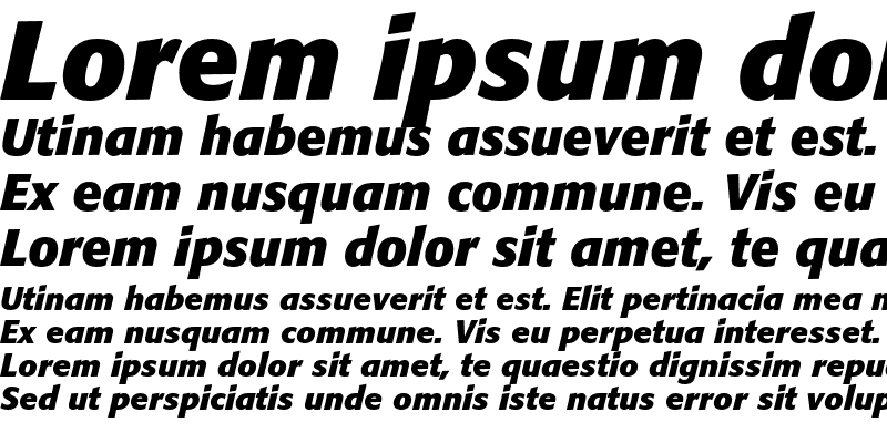 Sample of Formata Bold Italic