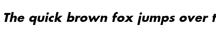 Preview of FortuneC Bold Italic