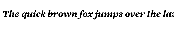 Preview of Freight Text Black Italic