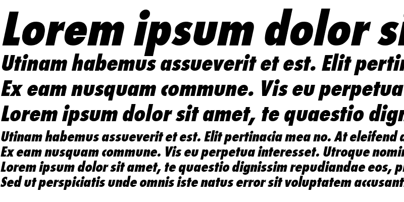 Sample of FunctionCondLH Bold Italic