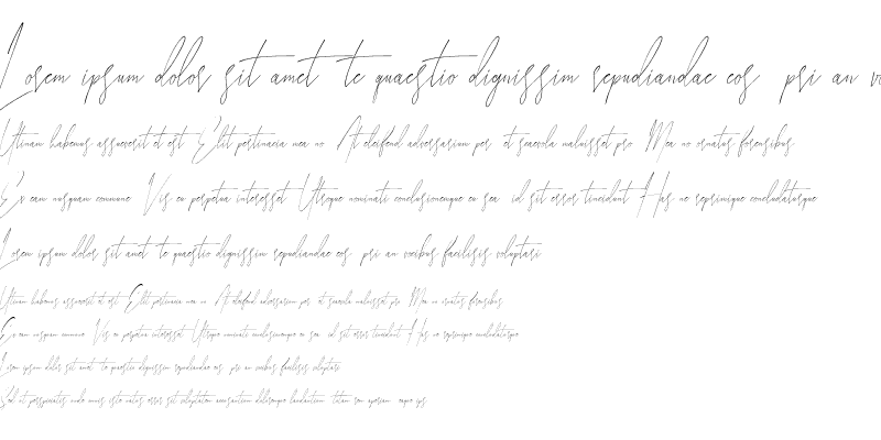 Sample of Funtastic Youth Script