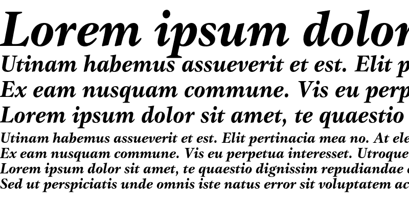 Sample of GammaEF Bold Italic