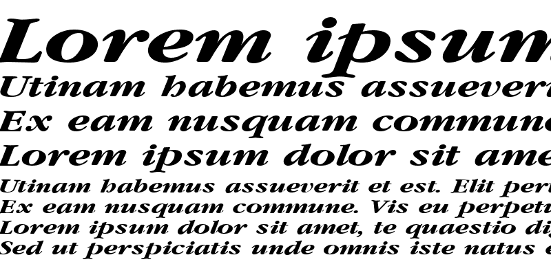 Sample of GarnetBroad Bold Italic