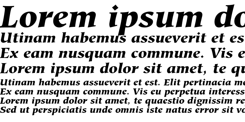 Sample of Glossary Black SSi Black Italic