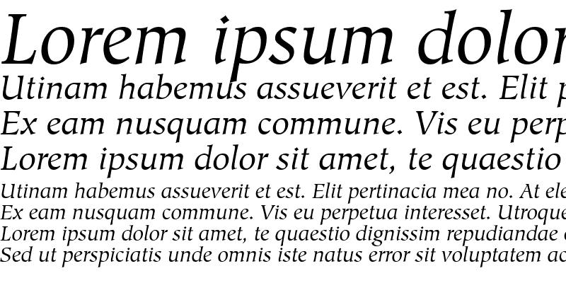 Sample of Glossary SSi Italic